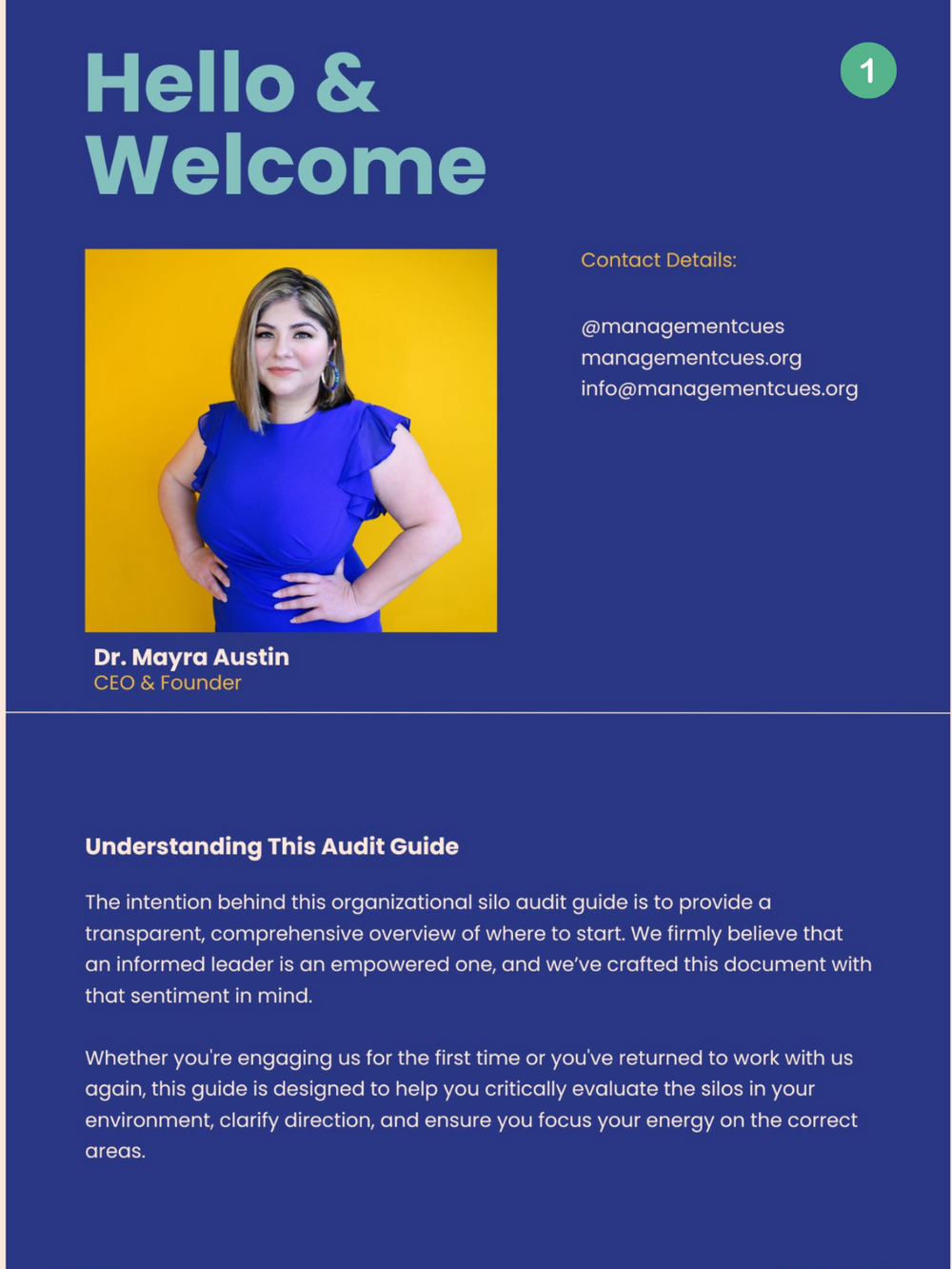 Silos Within: A Comprehensive Organizational Audit Guide