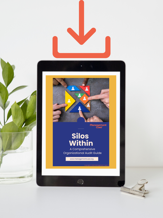Silos Within: A Comprehensive Organizational Audit Guide